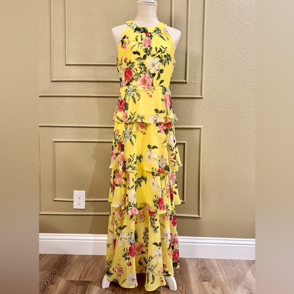 JESSICA HOWARD Women’s Dress Style Maxi Sleeveless Chiffon. Size 10P petite - Picture 3 of 9